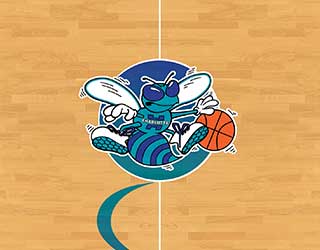 HUGO THE HORNET! Hornets 30th Anniversary Feature 